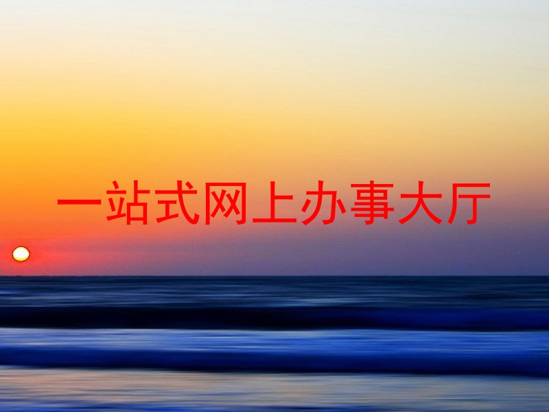 一站式网上办事大厅