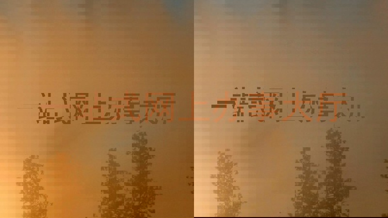 一站式网上办事大厅