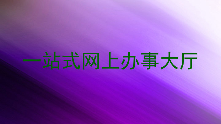 一站式网上办事大厅