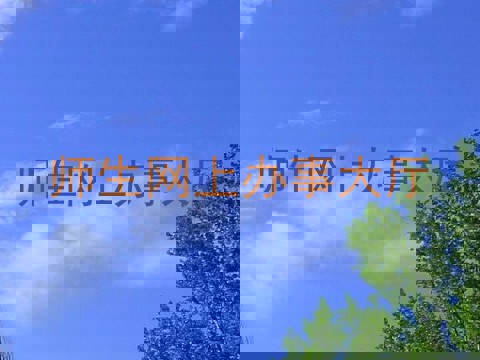 师生网上办事大厅