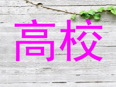 高校