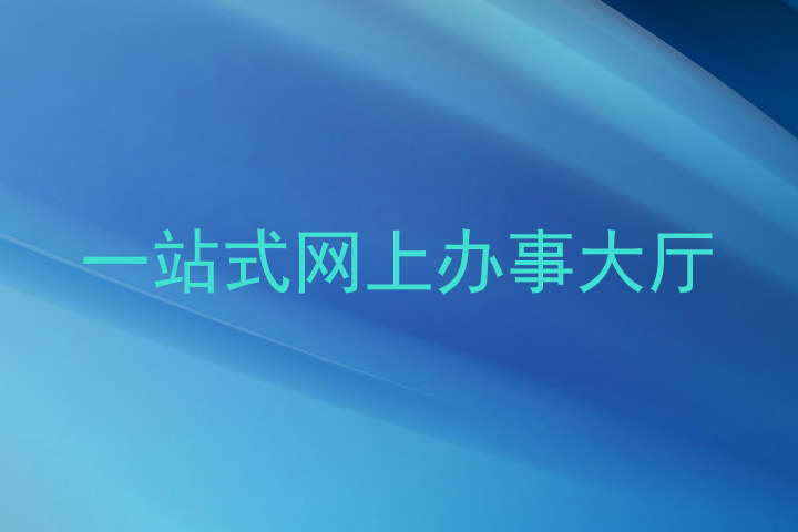 一站式网上办事大厅
