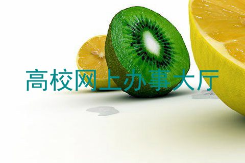 高校网上办事大厅