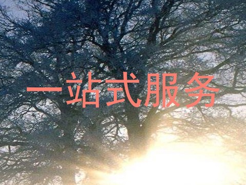 一站式服务