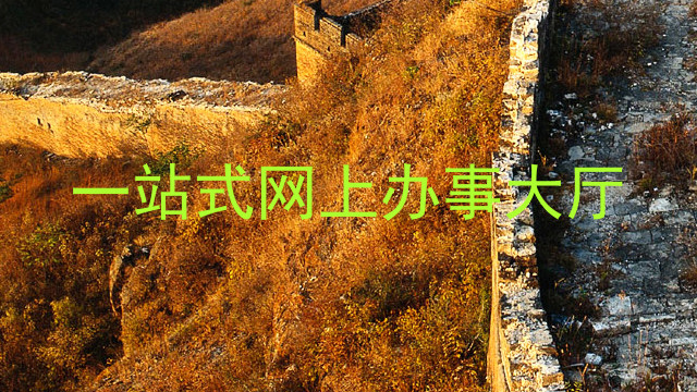 一站式网上办事大厅