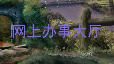 网上办事大厅