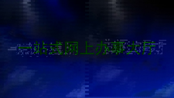 一站式网上办事大厅