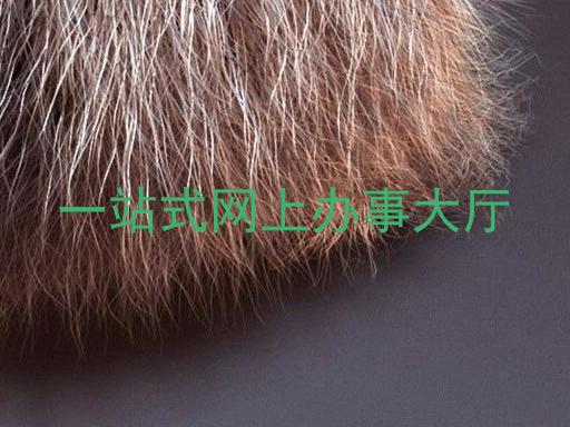 一站式网上办事大厅