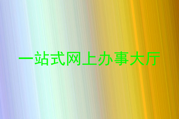 一站式网上办事大厅