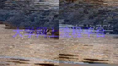 大学网上流程平台