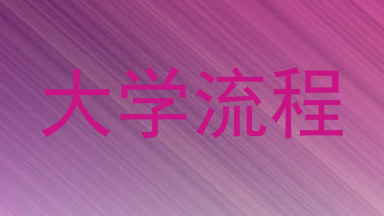 大学流程