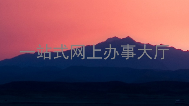 一站式网上办事大厅