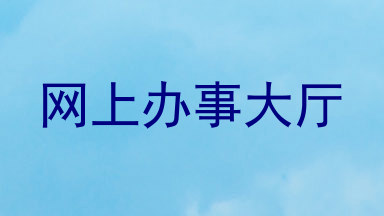 网上办事大厅