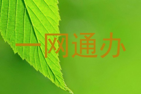 一网通办