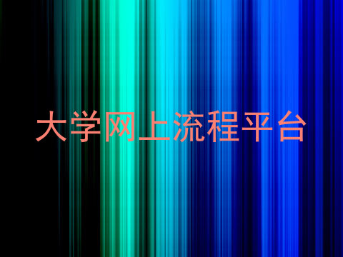 大学网上流程平台