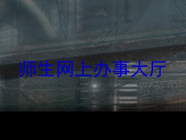 师生网上办事大厅