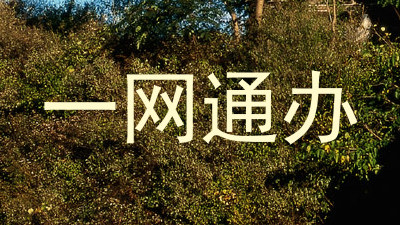 一网通办