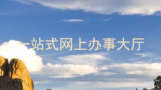 一站式网上办事大厅