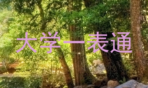 大学一表通
