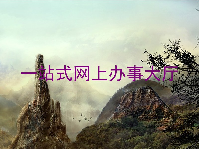 一站式网上办事大厅