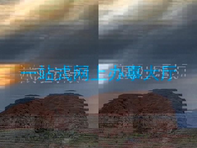 一站式网上办事大厅