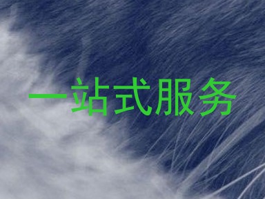 一站式服务