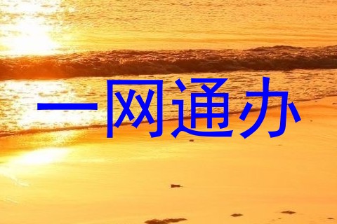 一网通办