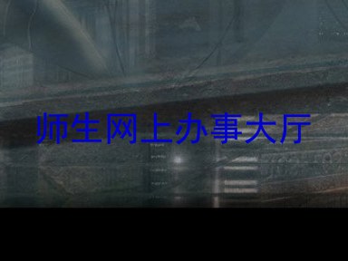 师生网上办事大厅