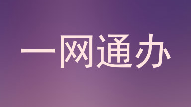 一网通办