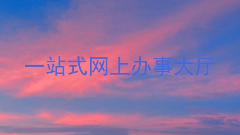 一站式网上办事大厅