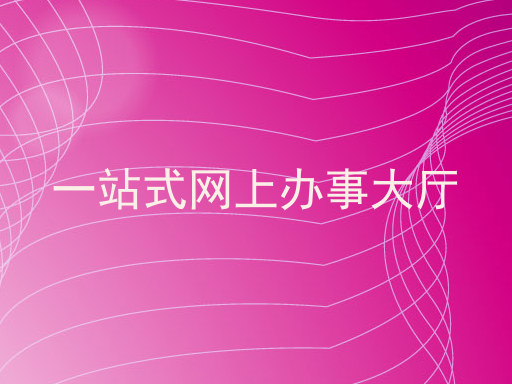 一站式网上办事大厅