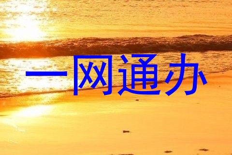 一网通办