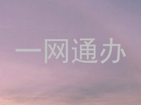 一网通办