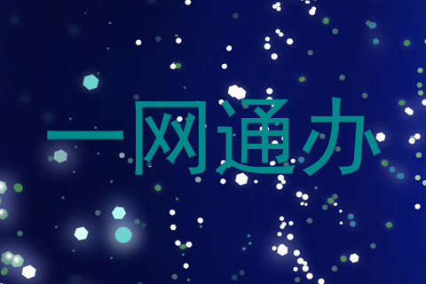 一网通办