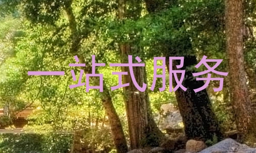一站式服务