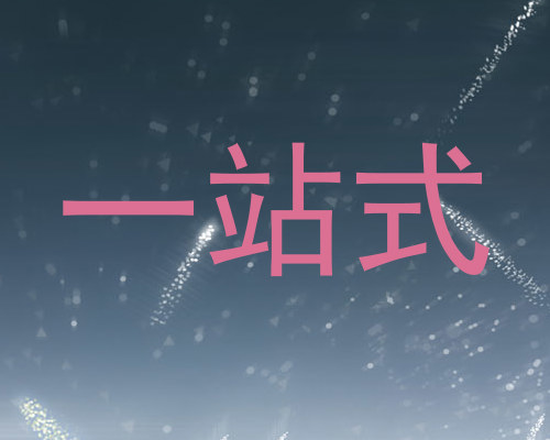 一站式