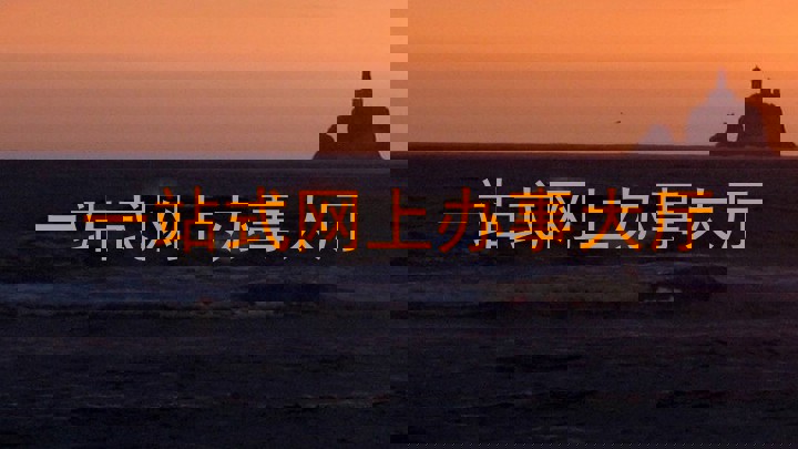 一站式网上办事大厅