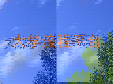 大学流程平台
