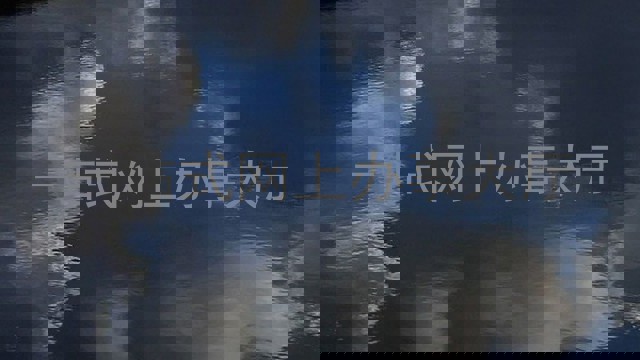 一站式网上办事大厅