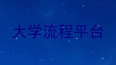 大学流程平台