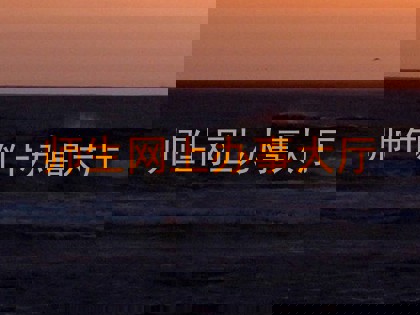 师生网上办事大厅