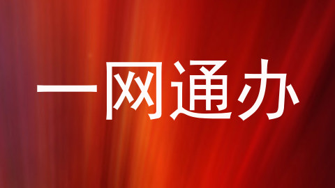 一网通办