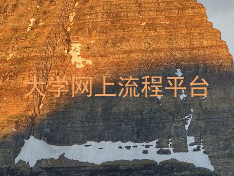 大学网上流程平台