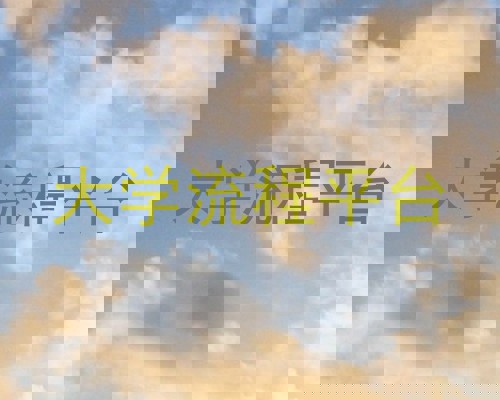 大学流程平台