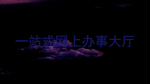 一站式网上办事大厅