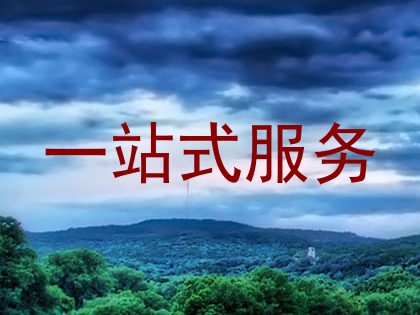 一站式服务
