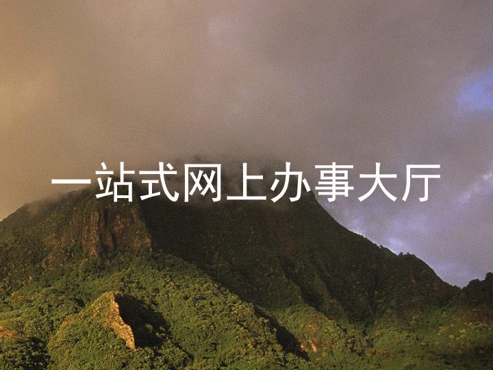 一站式网上办事大厅