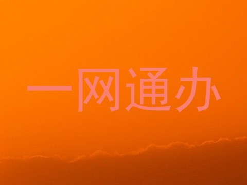 一网通办