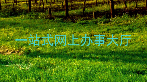 一站式网上办事大厅