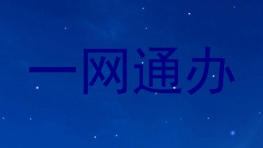 一网通办